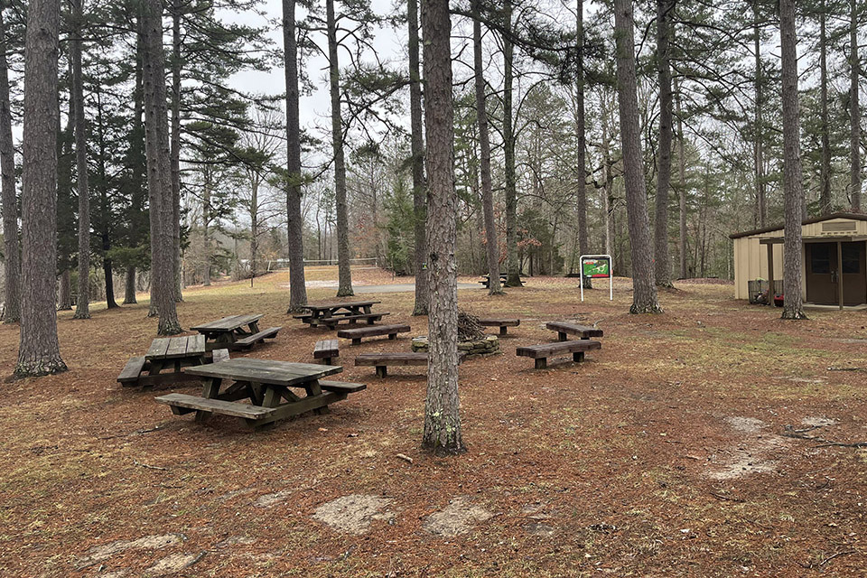 picnic area